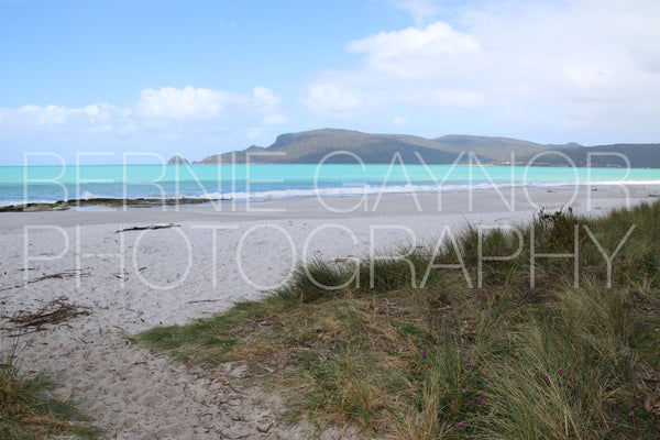 Bruny Island Coast